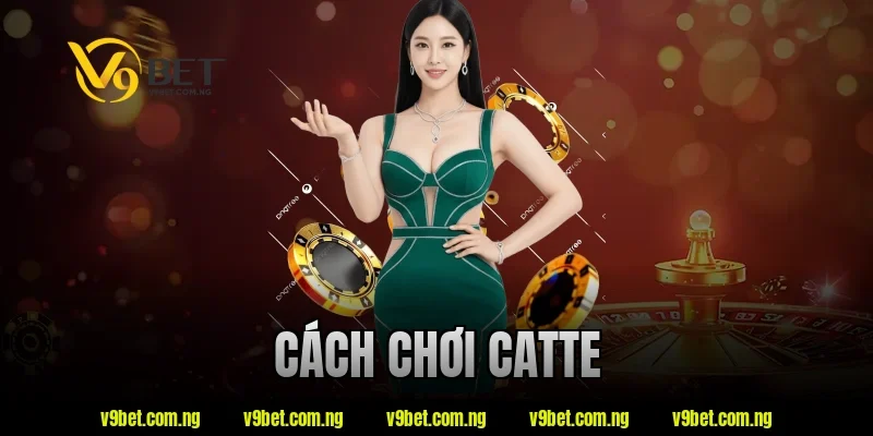 Cách Chơi Catte Dễ Hiểu – Nắm Luật Nhanh Chỉ Trong Vài Phút 3 cách chơi catte